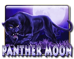 panthermoon